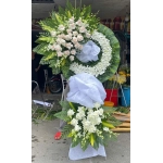 hoa viếng lan trắng
