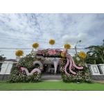 MÀU HỒNG ĐÁNG YÊU