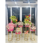 Bộ hồng