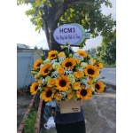 Giỏ hoa Hướng dương sinh nhật