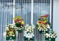 rồng phụng trái cây