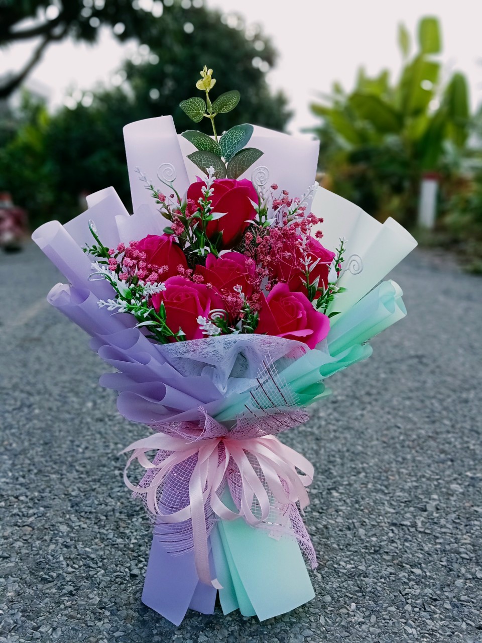 Hoa Hồng