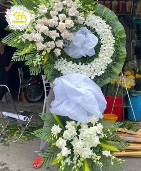 hoa viếng lan trắng