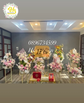 combo Mẫu mâm quả hot 02