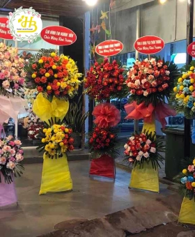 Hoa Khai Trương các loại