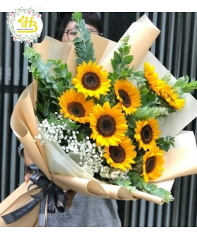 Hoa Hướng Dương