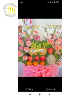 GIỎ TRÁI CÂY HOA BAO CHUẨN